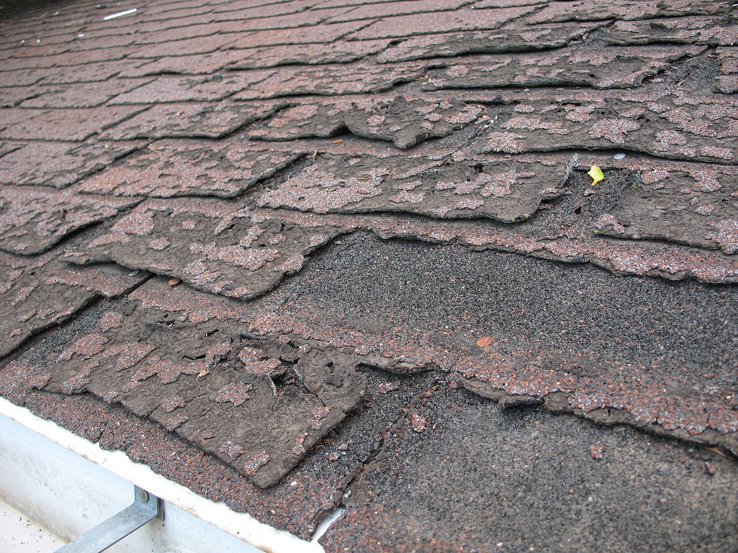 Worn, curling asphalt shingles with granules missing