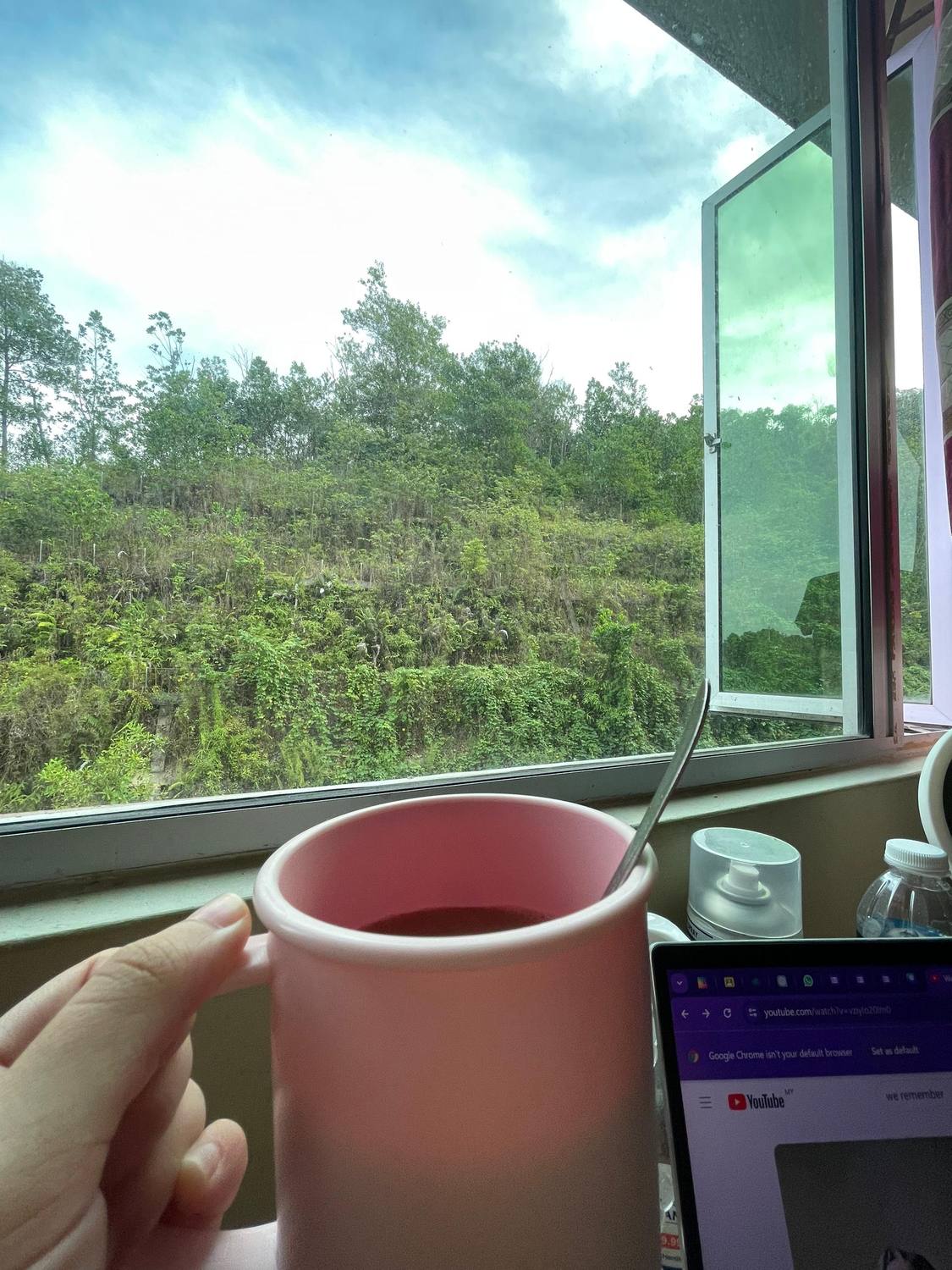 A hand holding a pink mug by a window with green trees outside